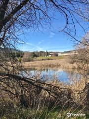 Mendocino College Disc Golf Course