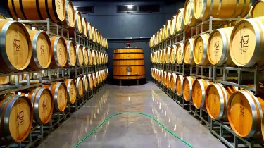 Eastern Upper Galilee