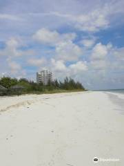 Silver Point Reef