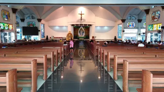 Metropolitan Cathedral of Immaculate Conception