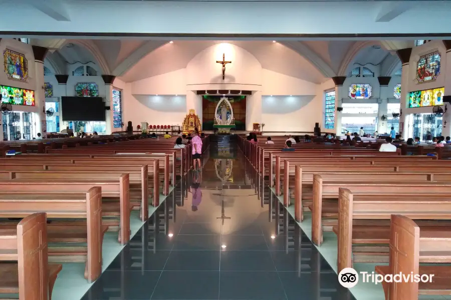 Metropolitan Cathedral of Immaculate Conception