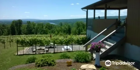 Four Friends Vineyard & Winery