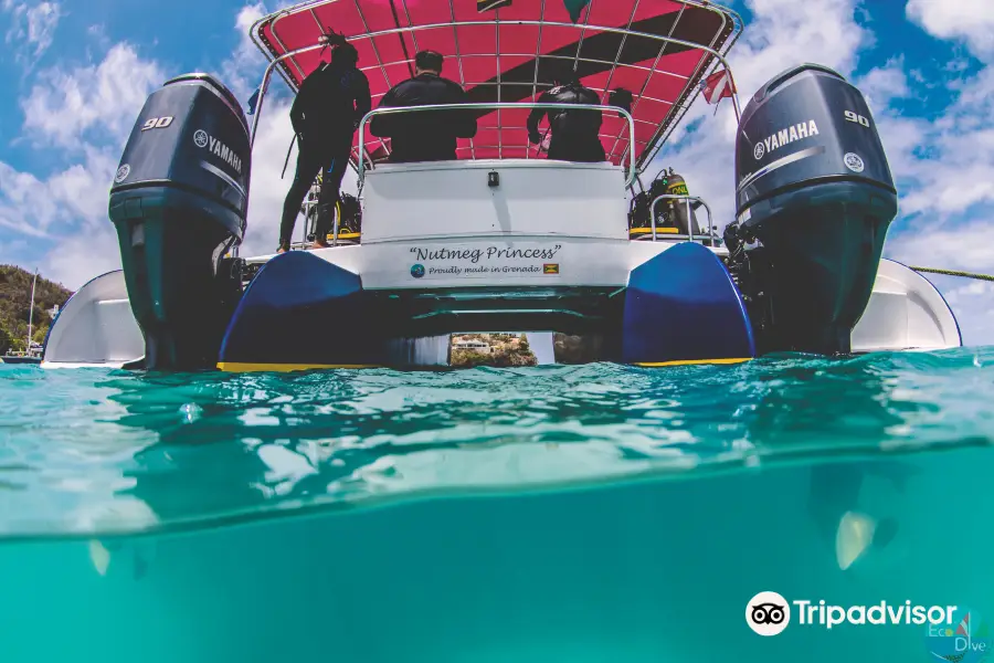 Eco Dive, Grenada Blue