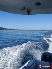 Fishing Offshore Noosa