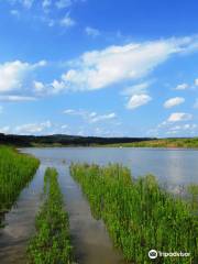 Turkey Bend Recreation Area