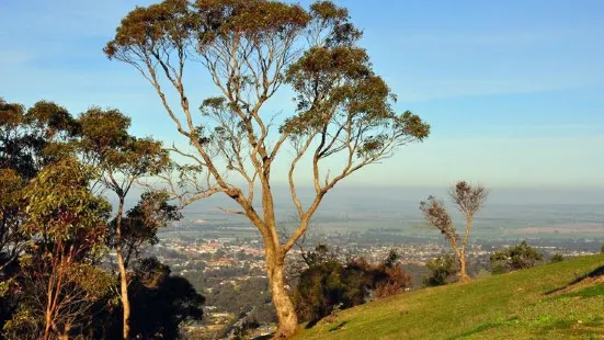 One Tree Hill Lookout