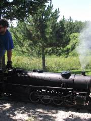 Trecothic Creek And Windsor Railway