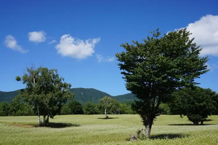 Hotels in Minamiaizu