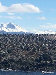 Isla de Los Pajaros