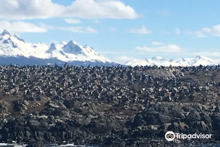 Isla de Los Pajaros