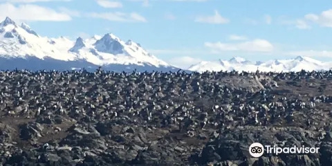 Isla de Los Pajaros
