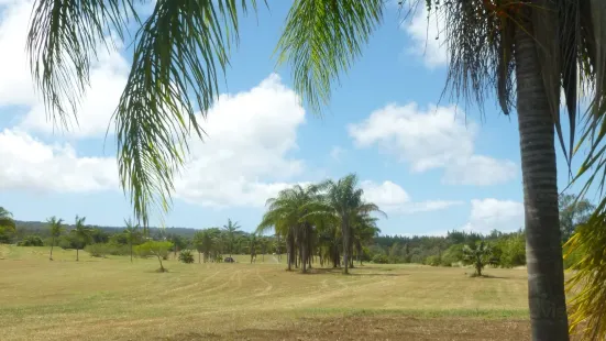 Kamehameha Park