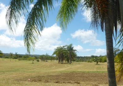 Kamehameha Park