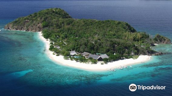 Club Paradise Divers