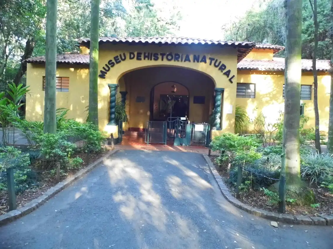 Hotels near Aquatic and Natural History Museum
