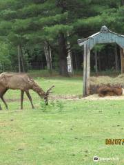 Zoo St-Édouard