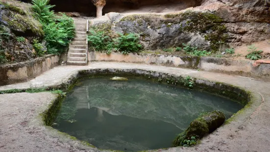 Germisara - Roman Termal Bath