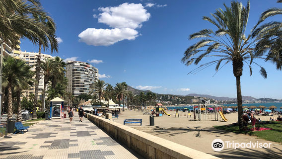 Playa de La Malagueta