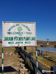 Jarain Pitcher Plant Lake