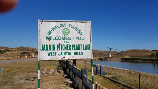Jarain Pitcher Plant Lake