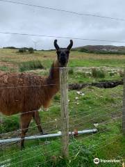 Errigal View Pet Zoo