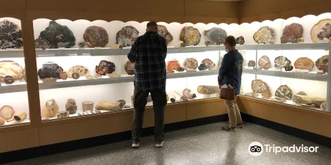 賴斯巖石和礦物西北博物館