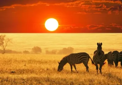 Kilimanjaro National Park