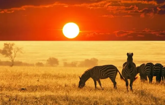 Kilimanjaro National Park