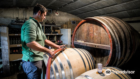 Musée de l'huile d'olive