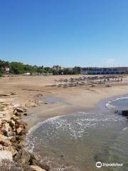 Playa de la Punta d'en Guineu