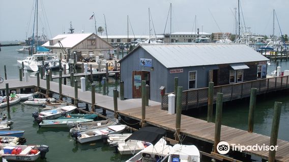 Turtle Cannery Museum