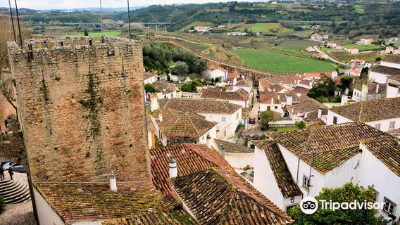 Castle of Óbidos