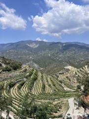 Tsiakkas Winery