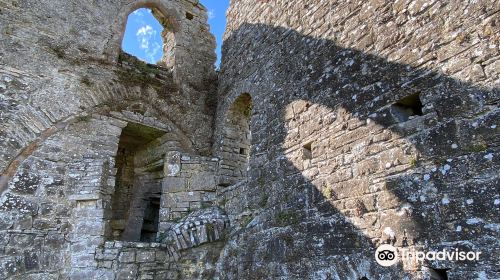 Bective Abbey