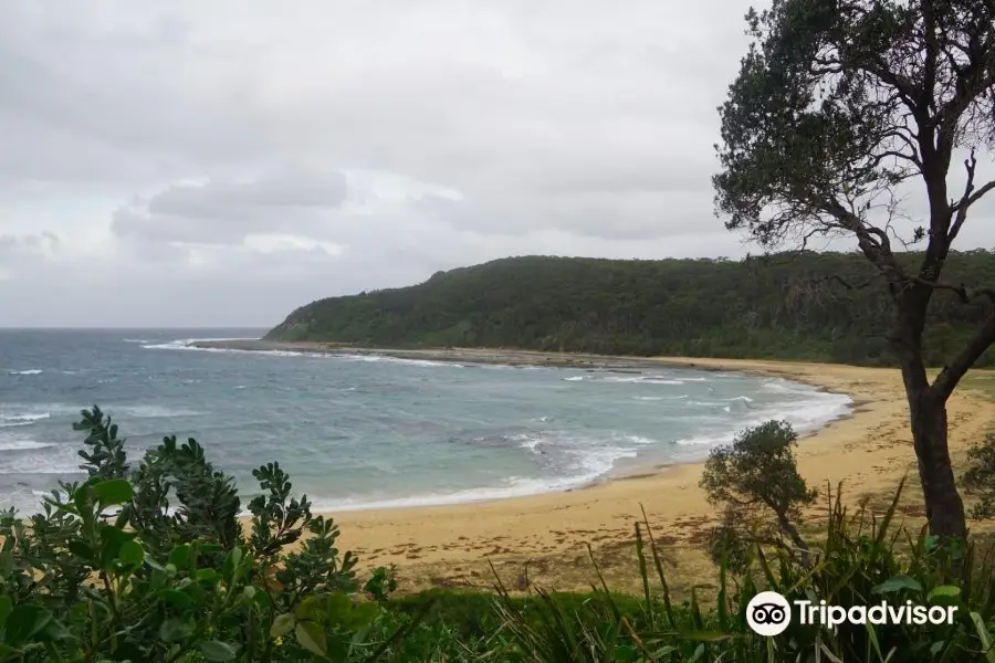 Parque nacional Wyrrabalong