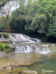 Root Bridge