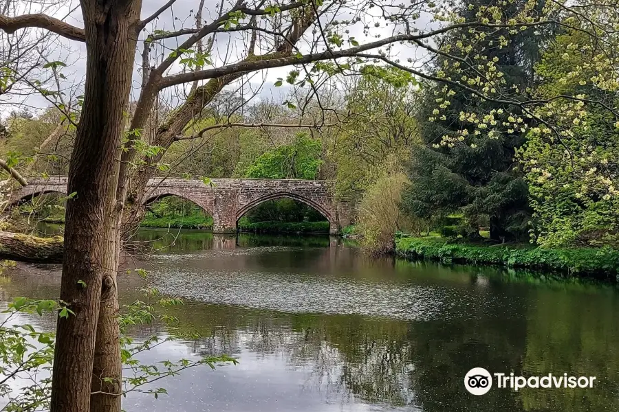 River Almond Walkway