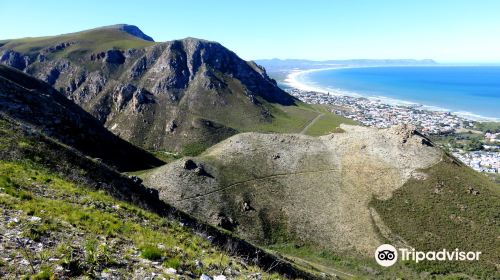 Fernkloof Nature Reserve