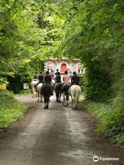 Flowerhill Equestrian Centre