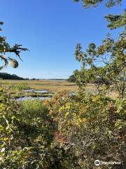 Wellfleet Bay Wildlife Sanctuary