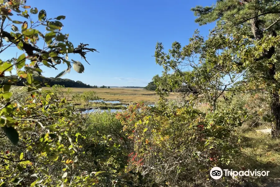 Mass Audubon Wellfleet Bay Wildlife Sanctuary