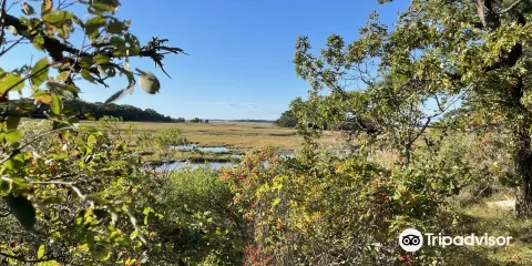 Wellfleet Bay Wildlife Sanctuary
