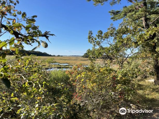 Wellfleet Bay Wildlife Sanctuary