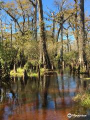 Cape Fear River Adventures | Wilmington NC | Captain Charles Robbins