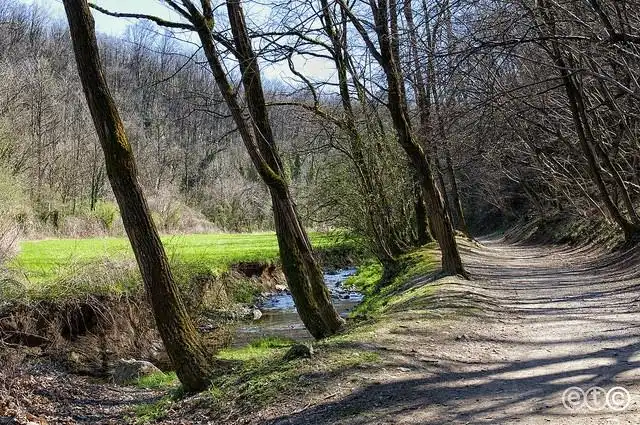 Hotel in zona Sentiero 6 - Valbasca
