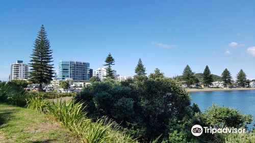 Pilot Bay Beach