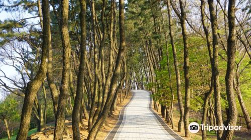 Gwangseongbo Fort