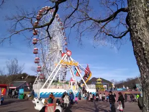 Japan Monkey Park