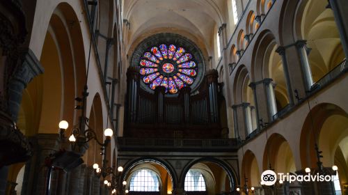 Cathedral of Notre-Dame of Tournai