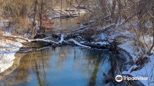 Toogood Pond Park